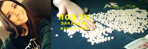 стаф Краснослободск