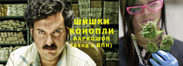 ешки Няндома