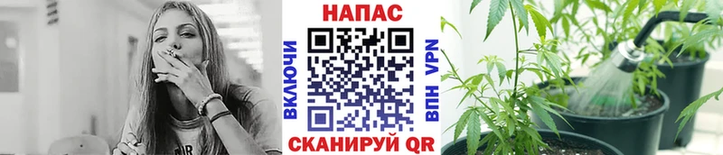 Марихуана планчик  Купино 